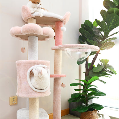 Household Fashion Jumping Platform Cat Toys - Premium 0 from Pawsnplayboutique Dba My Needy Pets - Just $244.65! Shop now at My Needy Pets