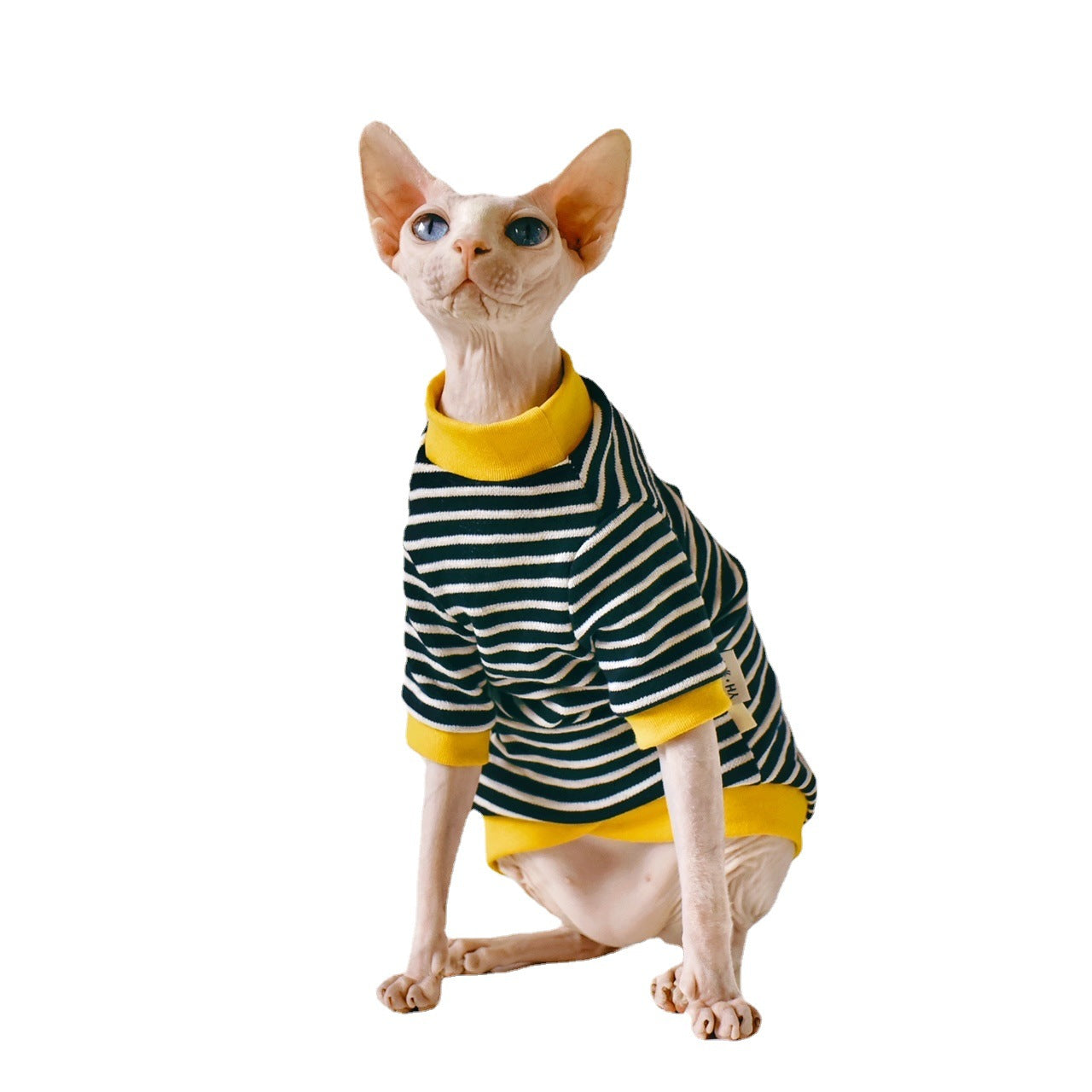 Fabric Sphinx Hairless Cat Clothing - Premium 0 from My Store - Just $32.99! Shop now at My Needy Pets