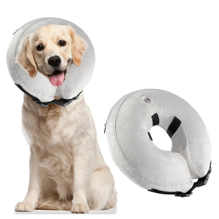 Inflatable Pet Collars - Premium 0 from My Needy Pets - Just $9.49! Shop now at My Needy Pets