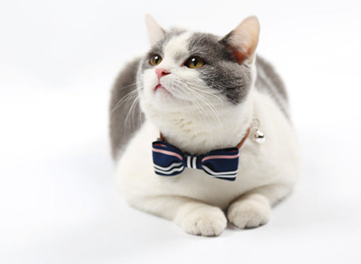 Pet tie - Premium 0 from My Needy Pets - Just $2.55! Shop now at My Needy Pets