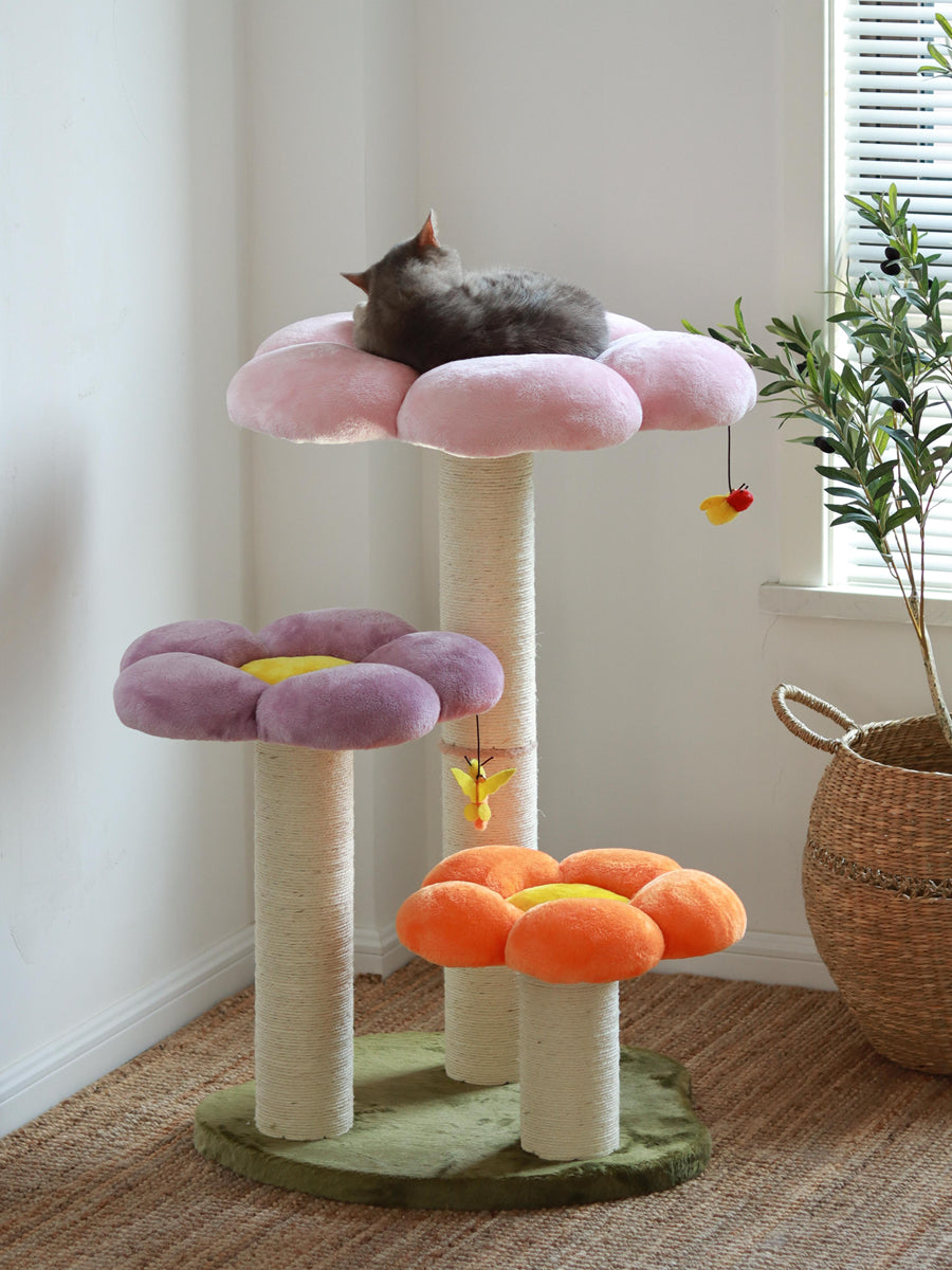 Household Fashion Jumping Platform Cat Toys - Premium 0 from Pawsnplayboutique Dba My Needy Pets - Just $244.65! Shop now at My Needy Pets