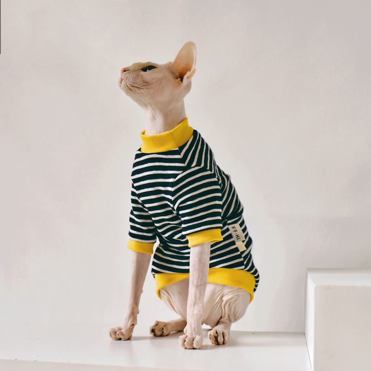 Fabric Sphinx Hairless Cat Clothing - Premium 0 from My Store - Just $32.99! Shop now at My Needy Pets