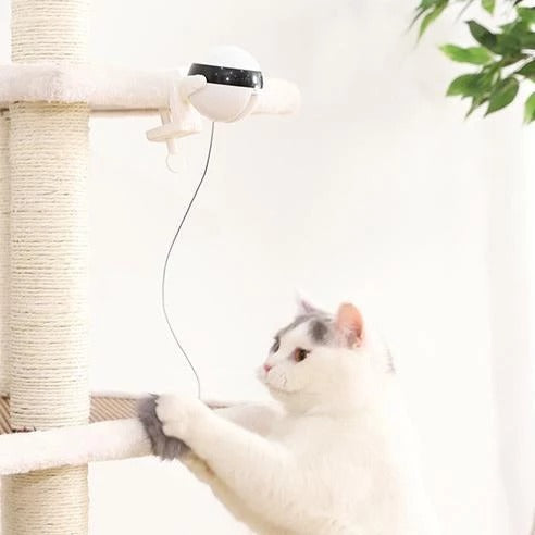 Pet Cat Toy Electronic Motion Cat Toy Interactive - Premium 0 from My Needy Pets - Just $5.99! Shop now at My Needy Pets