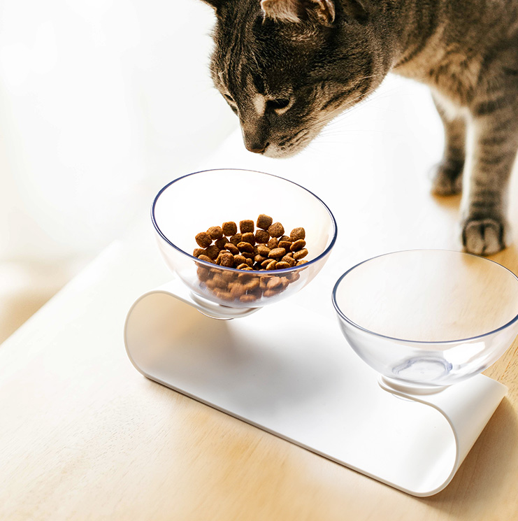 Pet Dowble Bowl - Premium 0 from My Needy Pets - Just $7.59! Shop now at My Needy Pets