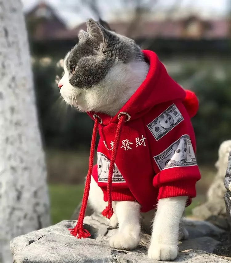 Pet Cat Dog Clothing Pure Cotton Plus Fleece Sweater - Premium 0 from My Store - Just $49! Shop now at My Needy Pets