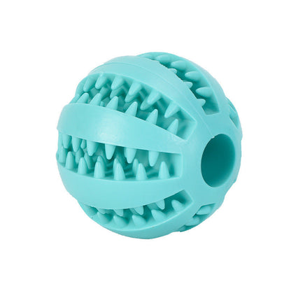 Durable Rubber Dog Dental Molar Chew Toy - Premium 0 from My Store - Just $1.79! Shop now at My Needy Pets