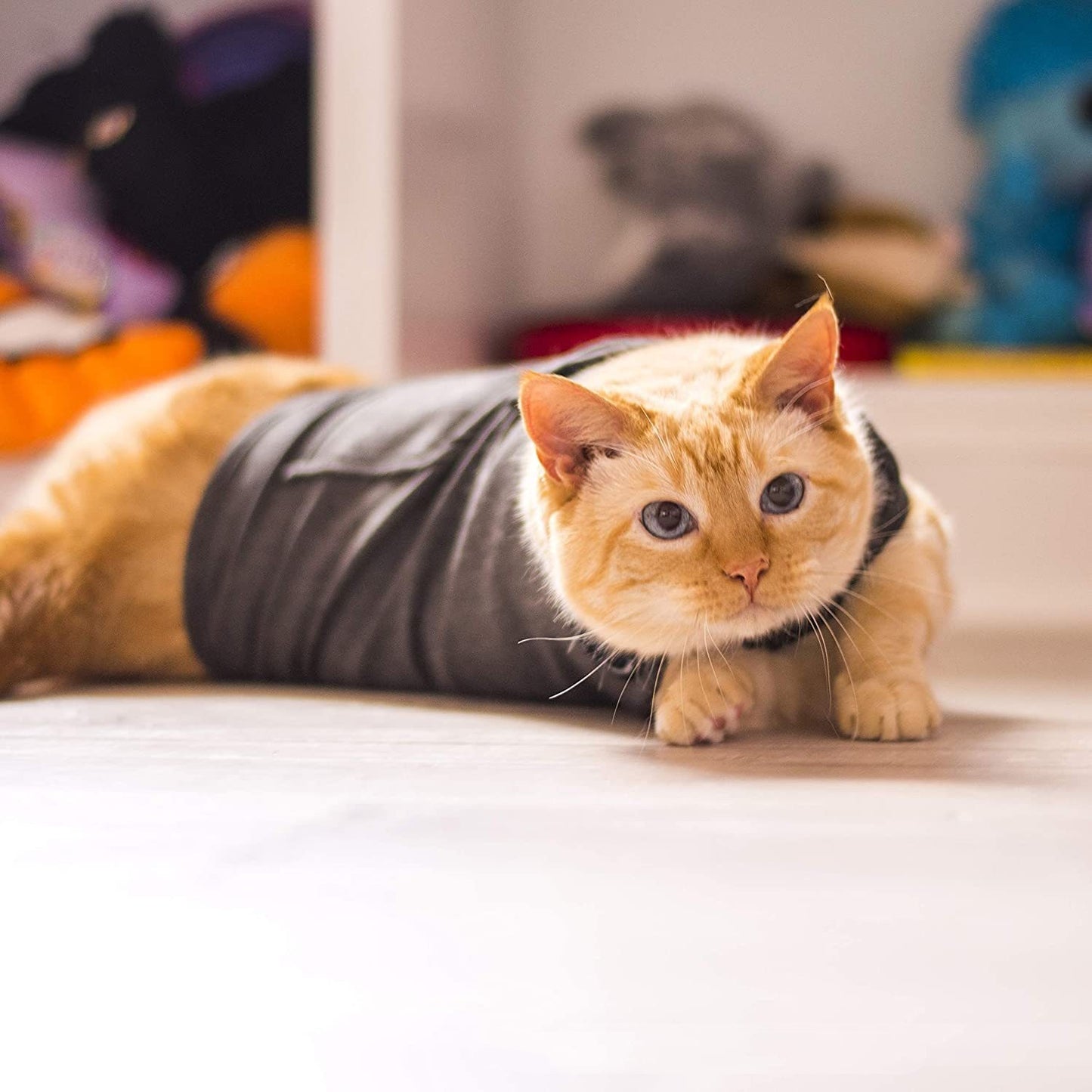 Pet Dog Clothing Cat Vest Summer - Premium 0 from My Store - Just $17.95! Shop now at My Needy Pets