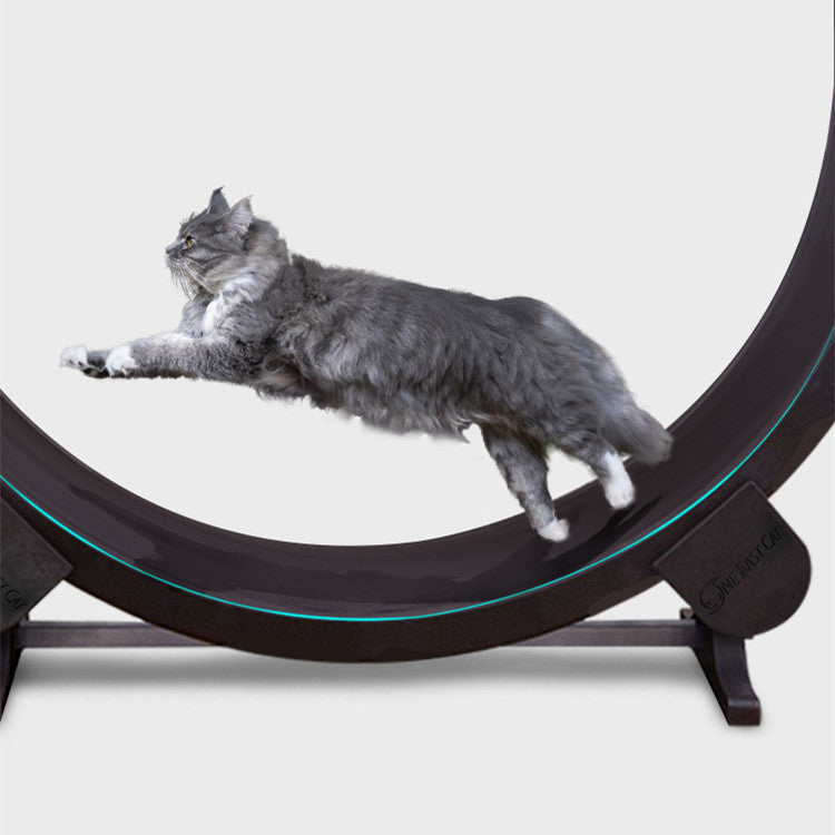 Pet Cat Running Wheel Fitness Toys - Premium 0 from Pawsnplayboutique Dba My Needy Pets - Just $496! Shop now at My Needy Pets