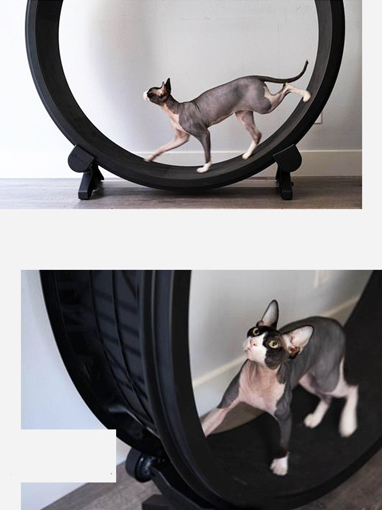 Pet Cat Running Wheel Fitness Toys - Premium 0 from Pawsnplayboutique Dba My Needy Pets - Just $496! Shop now at My Needy Pets