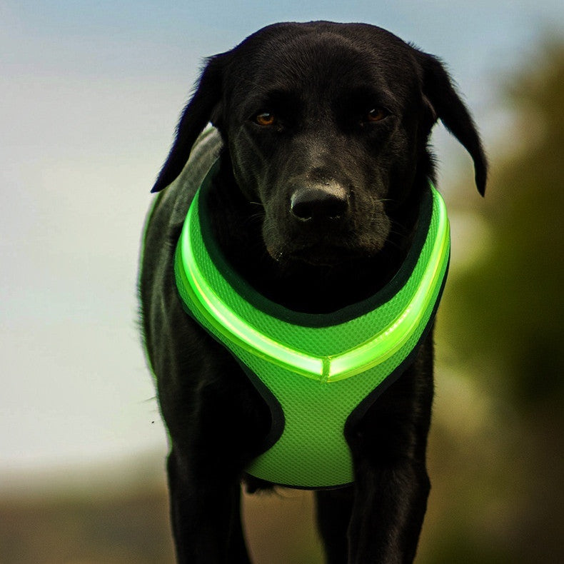 LED Luminous Dog Harness Led USB Charging Dog Chest Strap Vest Pet Safety Reflective Harness Pet Vest For Puppy Large Dog Pet Products - Premium 0 from My Needy Pets - Just $14.65! Shop now at My Needy Pets