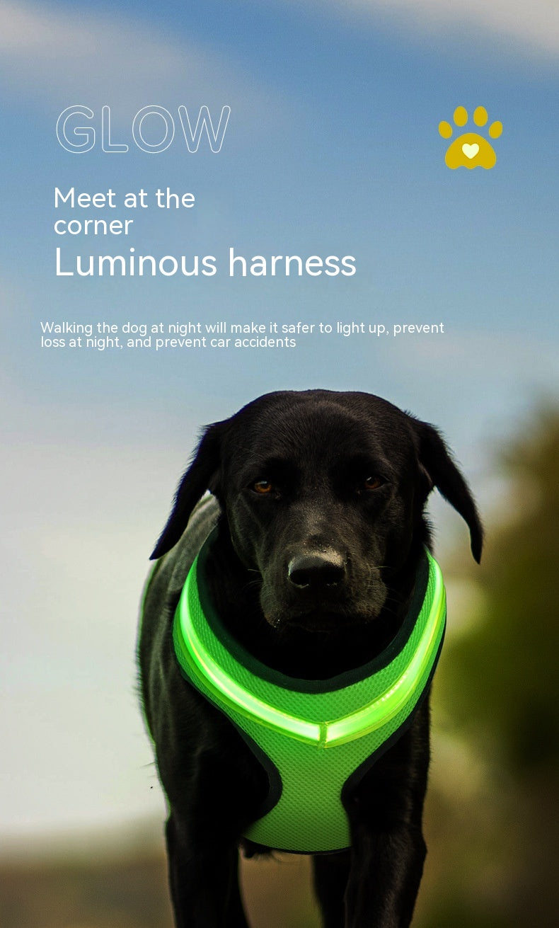 LED Luminous Dog Harness Led USB Charging Dog Chest Strap Vest Pet Safety Reflective Harness Pet Vest For Puppy Large Dog Pet Products - Premium 0 from My Needy Pets - Just $14.65! Shop now at My Needy Pets