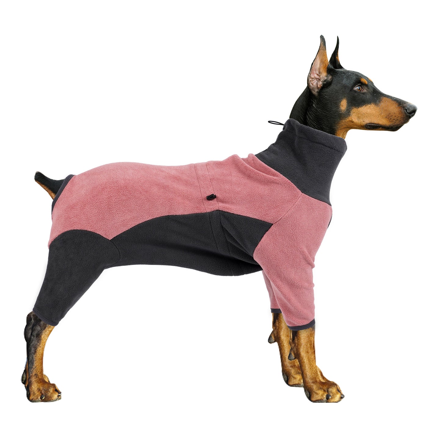 Dog Clothes Cold Proof And Warm Pet In Winter Warm Pets Supplies - Premium 0 from My Needy Pets - Just $29.95! Shop now at My Needy Pets