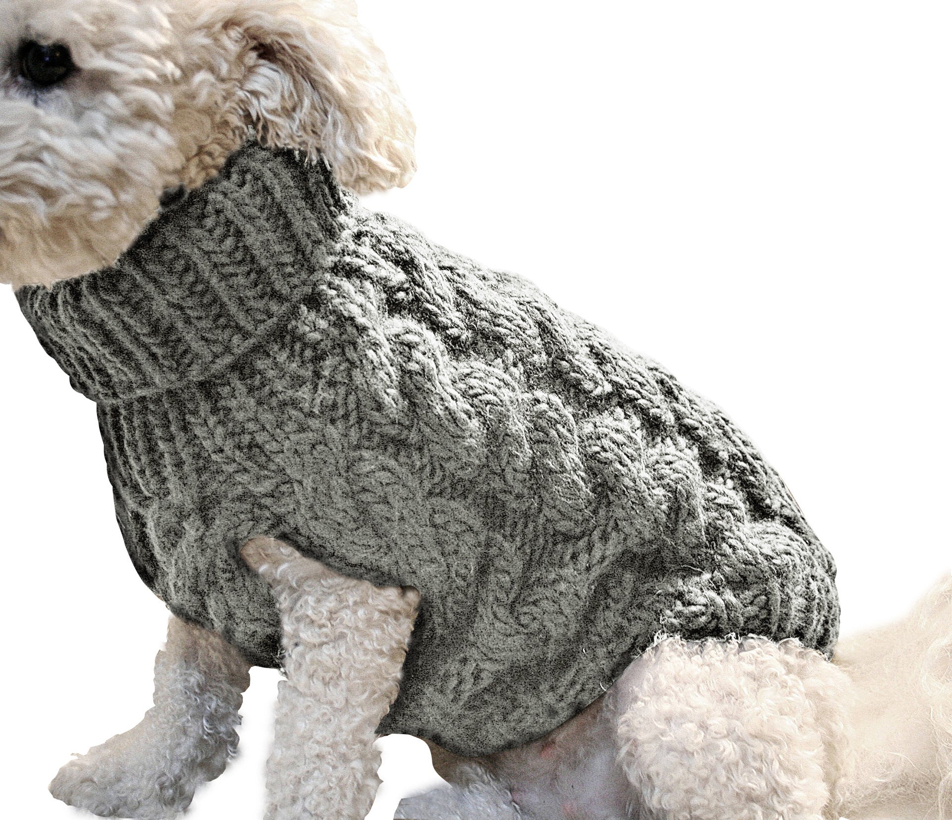 Pet sweater thick knit cat fashion warm clothing - Premium 0 from My Store - Just $10.99! Shop now at My Needy Pets