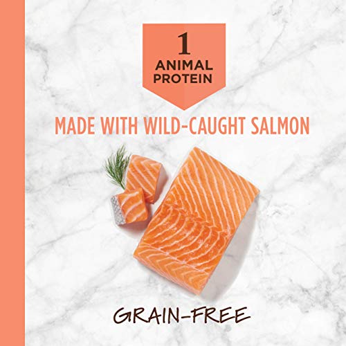 Instinct Limited Ingredient Diet Grain Free Recipe with Real Salmon Natural Dry Cat Food by Nature's Variety, 4.5 lb. Bag - Premium Pet Supplies from Instinct - Just $30.39! Shop now at My Needy Pets