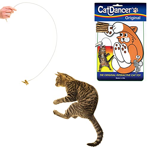 Cat Dancer Products 101 Interactive Cat Toy, Brown - Premium Pet Supplies from CAT DANCER PRODUCTS - Just $3.99! Shop now at My Needy Pets