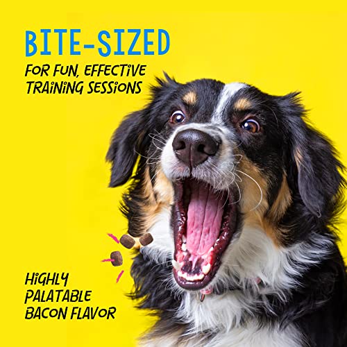 Crazy Dog Train-Me! Training Reward Dog Treats 16 Oz., Bacon Regular - Premium Pet Supplies from CrazyDog - Just $13.24! Shop now at My Needy Pets