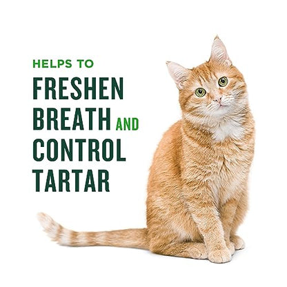 Minties Dental Treats for Cats, (Chicken/Salmon) Flavored Treats for Cats, Freshens Breath and Controls Tartar, 2.5oz - Premium Pet Supplies from Minties - Just $2.37! Shop now at My Needy Pets