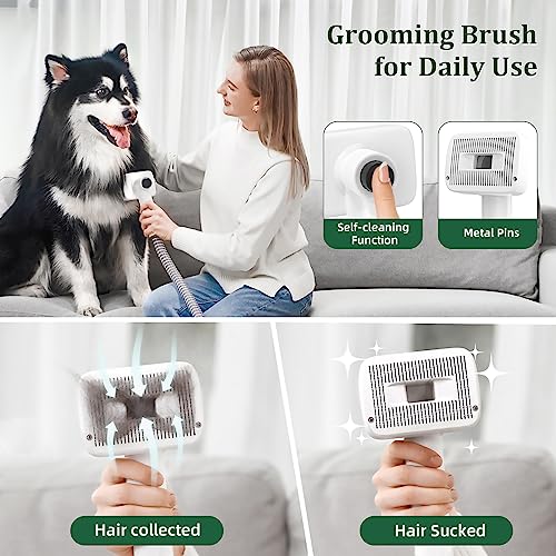 Pet Grooming Kit & Vacuum Suction 99% Pet Hair,6 in 1 Dog Grooming Vacuum Kit, 2.0L Capacity Easy Clean Dust Cup for Pet Hair,(Low Noise) Pet Shedding Grooming Tools for Dogs Cats at Home… - Premium Pet Supplies from Lufebut - Just $49.98! Shop now at My Needy Pets