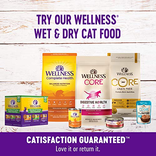 Wellness Kittles Crunchy Natural Grain Free Cat Treats, Salmon & Cranberry, 2-Ounce Bag - Premium Pet Supplies from WellnessNaturalPetFood - Just $2.25! Shop now at My Needy Pets