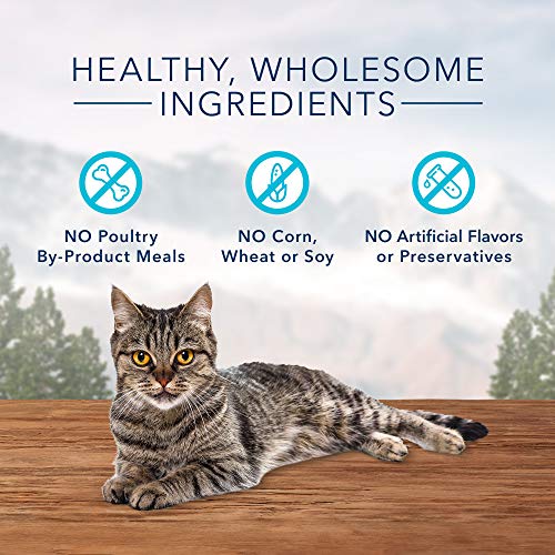 Blue Buffalo Wilderness Grain Free Soft-Moist Cat Treats, Chicken & Turkey 2-oz Bag - Premium Pet Supplies from BlueBuffaloCompanyLtd - Just $2.81! Shop now at My Needy Pets