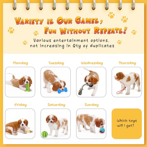 KIPRITII Dog Chew Toys for Puppy - 23 Pack Puppies Teething Chew Toys for Boredom, Pet Dog Toothbrush Chew Toys with Rope Toys, Treat Balls and Dog Squeaky Toy for Puppy and Small Dogs - Premium Pet Supplies from KIPRITII - Just $17.99! Shop now at My Needy Pets