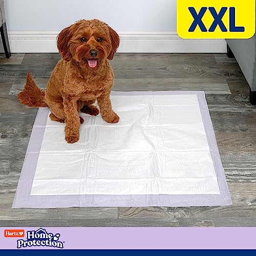 Hartz Home Protection Lavender Scented Dog Pads, XXL 40 count, Super Absorbent & Won't Leak, Odor Eliminating - Premium Pet Supplies from Hartz - Just $34.17! Shop now at My Needy Pets