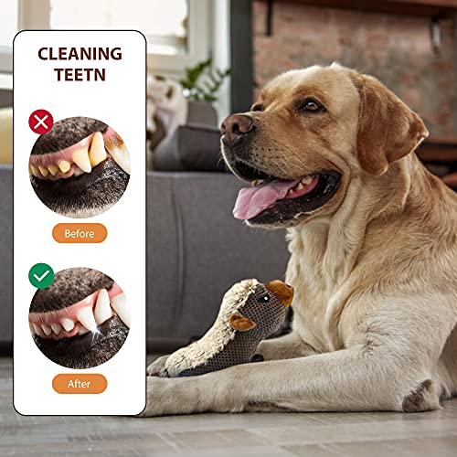 IOKHEIRA Dog Plush Toys for Aggressive Chewers, Indestructible Dog Squeaky Toys with Crinkle Paper, Durable Teething Chew Toys for Medium and Large Breed (Coffee Brown, Honey Badger) - Premium Pet Supplies from IOKHEIRA - Just $12.99! Shop now at My Needy Pets