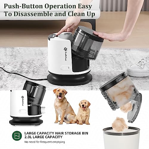 Pet Grooming Kit & Vacuum Suction 99% Pet Hair,6 in 1 Dog Grooming Vacuum Kit, 2.0L Capacity Easy Clean Dust Cup for Pet Hair,(Low Noise) Pet Shedding Grooming Tools for Dogs Cats at Home… - Premium Pet Supplies from Lufebut - Just $49.98! Shop now at My Needy Pets