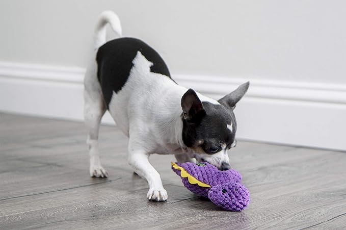 Mini Bruto Dino Squeaky Plush Dog Toy with Chew Guard - Purple - Premium  from Pawsnplayboutique Dba My Needy Pets - Just $6.99! Shop now at My Needy Pets