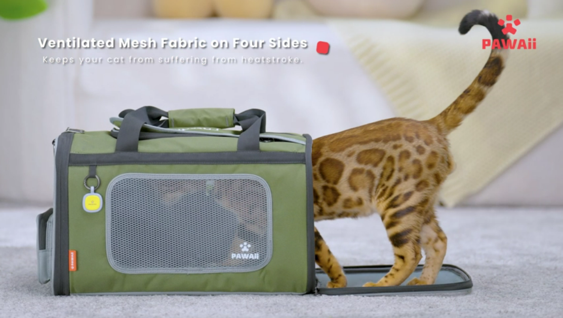 Pawaii Cat, Dog Carrier with ID Tag, TSA Airline Approved Cat Carrier, Soft Sided Collapsible Pet Travel Carrier, Foldable Pet Travel Bag, Protable, Comfortable, Convenient Pet Travel Carrier - Premium Pet Supplies from Pawaii - Just $39.99! Shop now at My Needy Pets